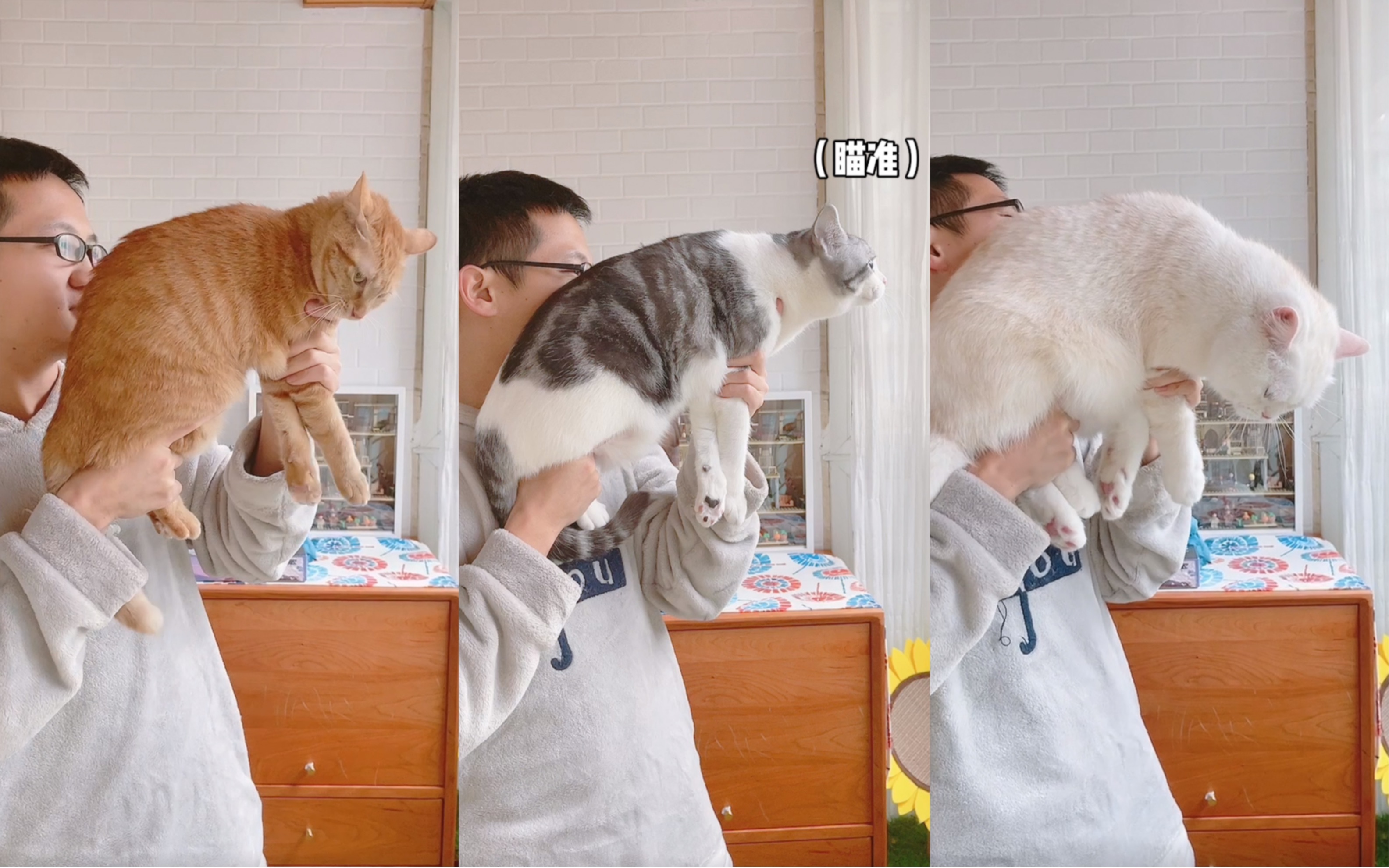 中美英三国"猫猫枪",李云龙看了都说好!