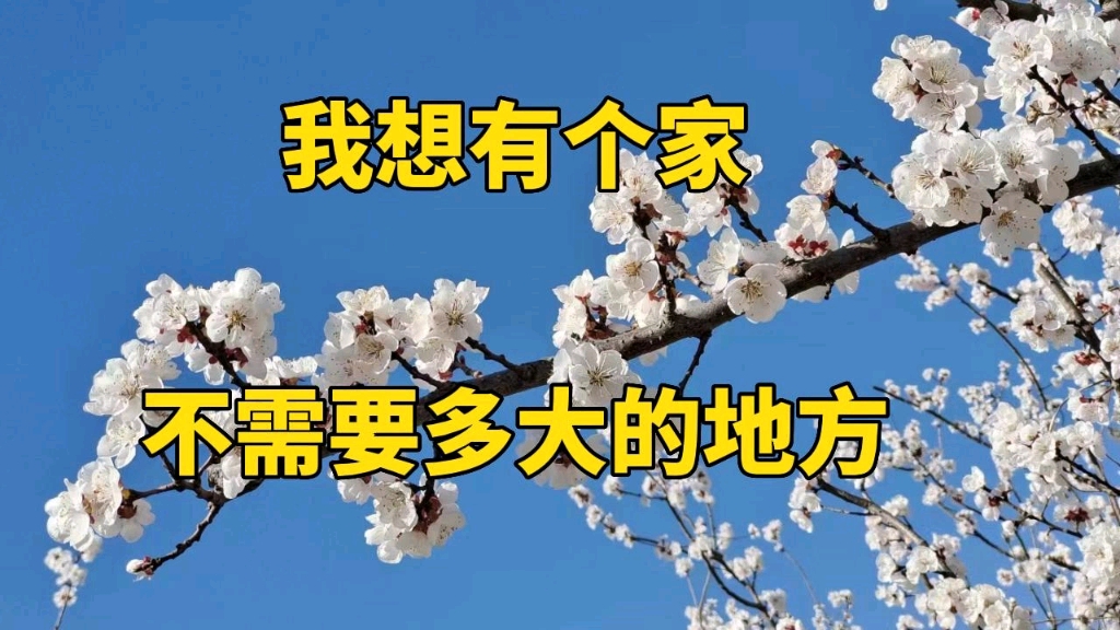 我想有个家,一个不需要多大的地方
