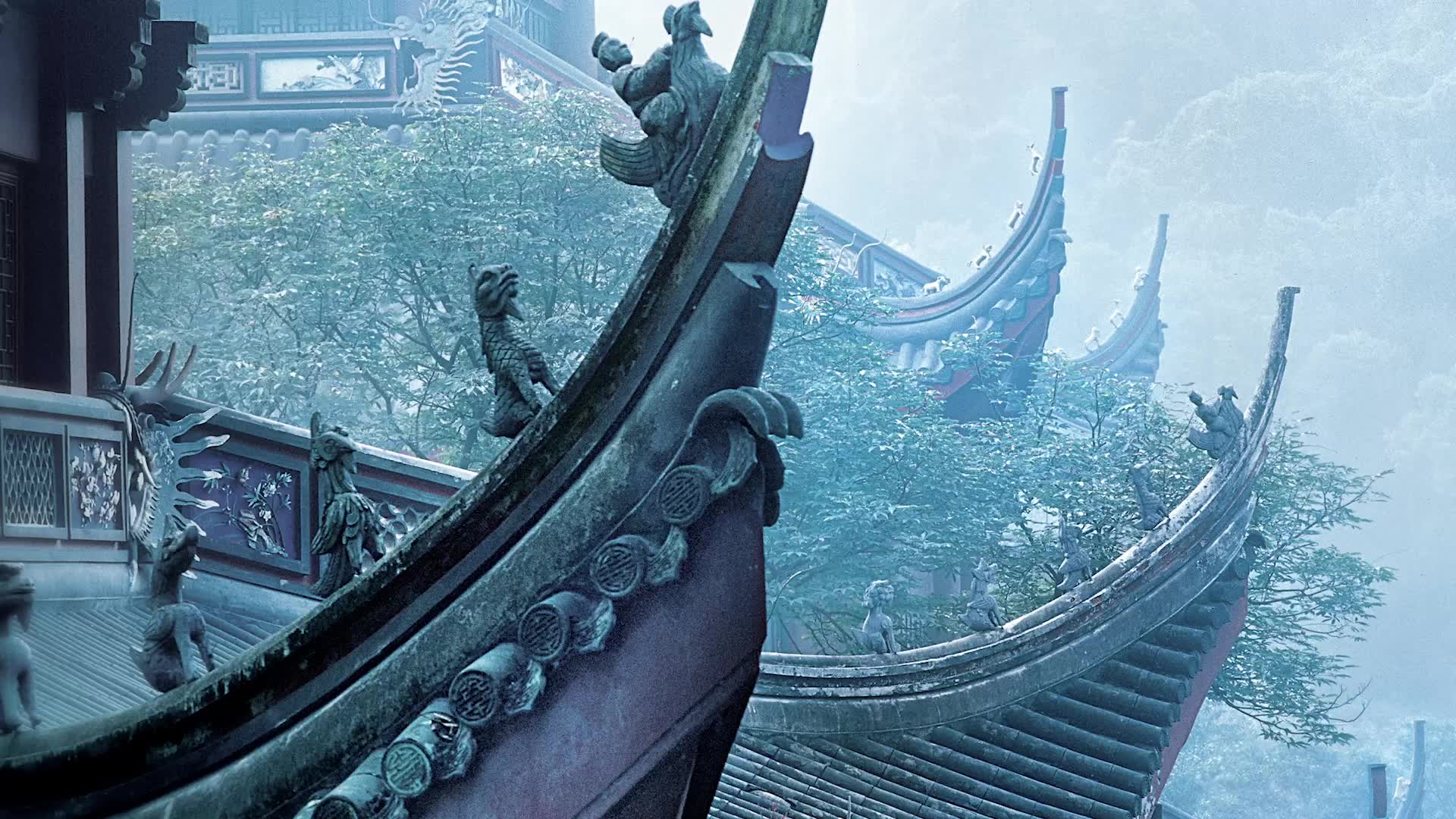 张望禅意摄影前期拍摄-作品欣赏片段(八)