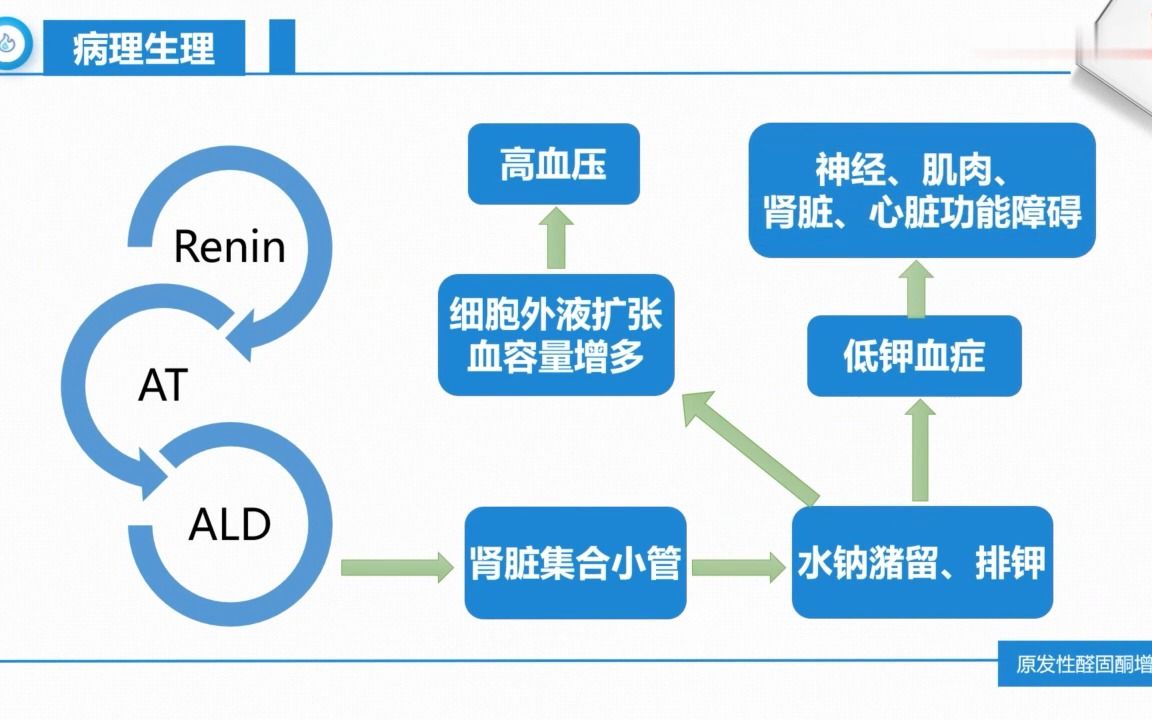 10.1-原发性醛固酮增多症