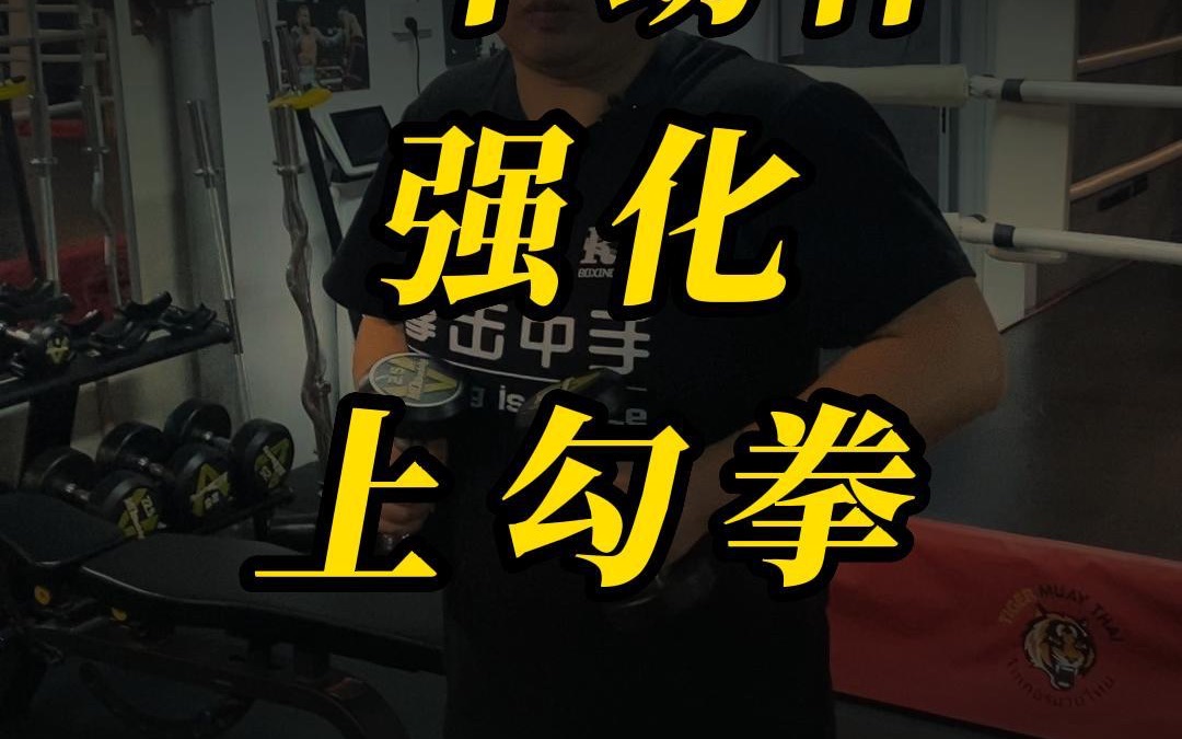 一个动作,强化上勾拳