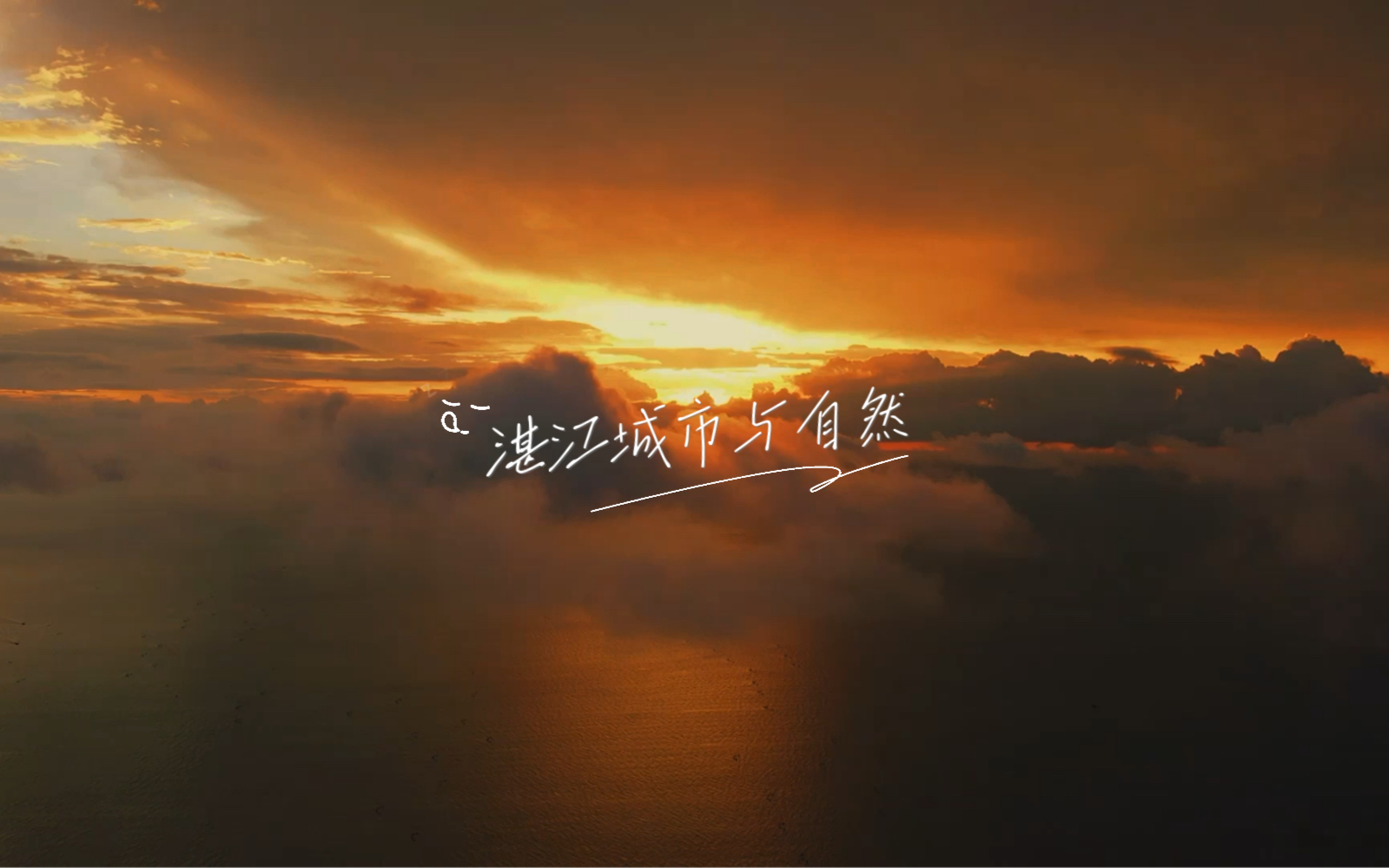 湛江城市与自然Nature哔哩哔哩bilibili