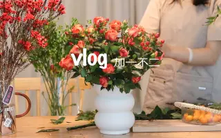 花墟年花市场 搜索结果 哔哩哔哩弹幕视频网 つロ乾杯 Bilibili 花墟年花市场 搜索结果 哔哩哔哩弹幕视频网 つロ乾杯 Bilibili