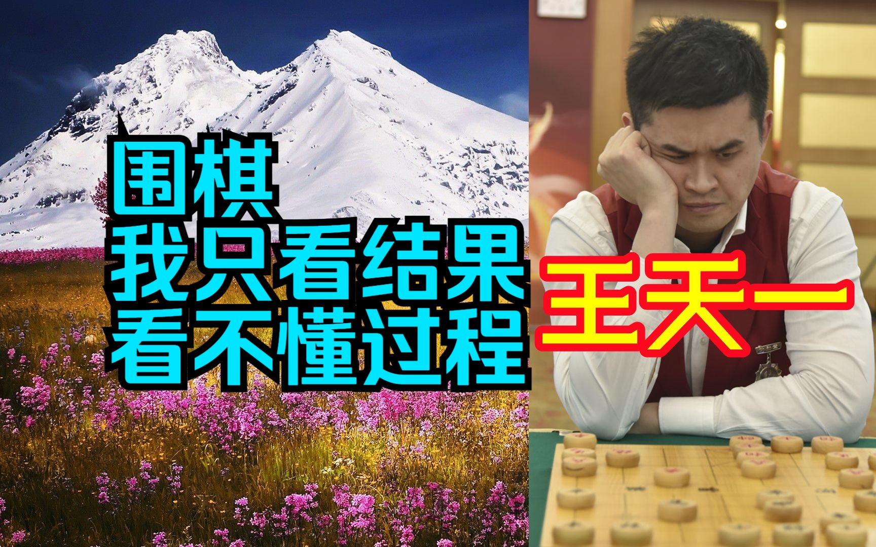 王天一:围棋我只看结果,看不懂过程哔哩哔哩bilibili