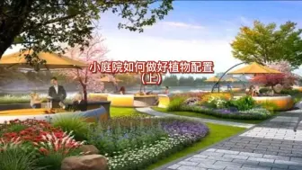 Descargar video: 小庭院如何做好植物配置（上）