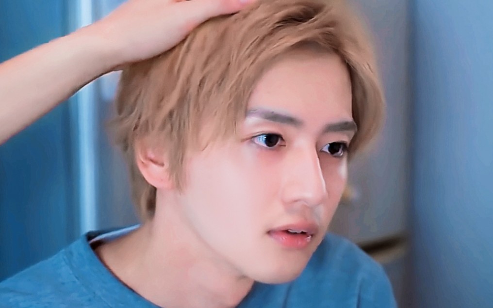 论饭岛宽骑与小金毛的相似度