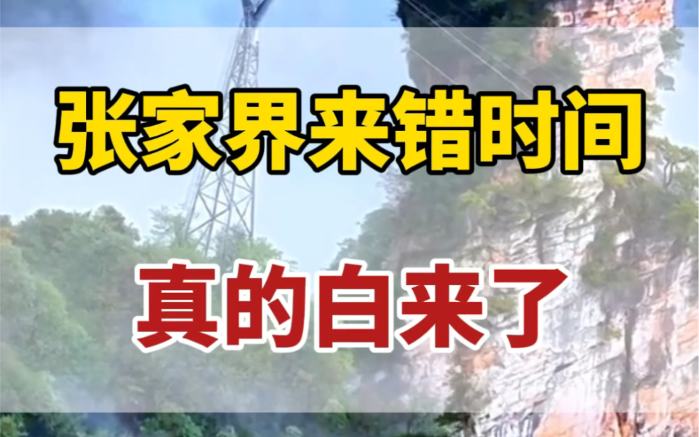 张家界五天四晚深度游无坑攻略!来张家界时间错了!真的是白来了!那到底什么时候来最合适?来一次要花多少钱?看完视频就知道了哔哩哔哩bilibili