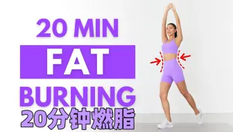 MIZI_居家全身燃脂训练｜20分钟站立锻炼｜无跳跃｜无重复