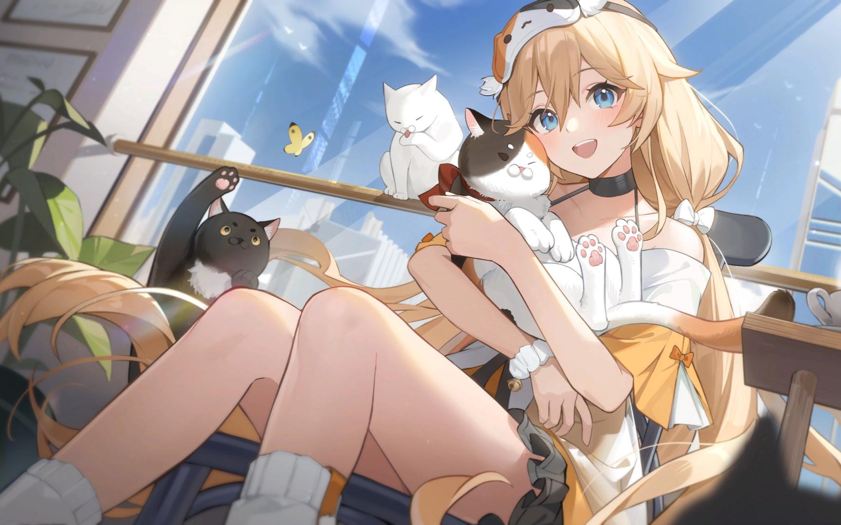 卡拉彼丘猫猫教学,以及埃及猫猫特性bug