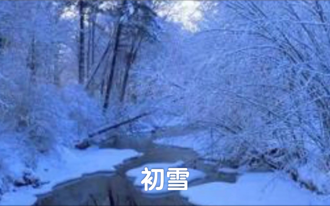 [图]班得瑞《初雪》小提琴：陈康洎新