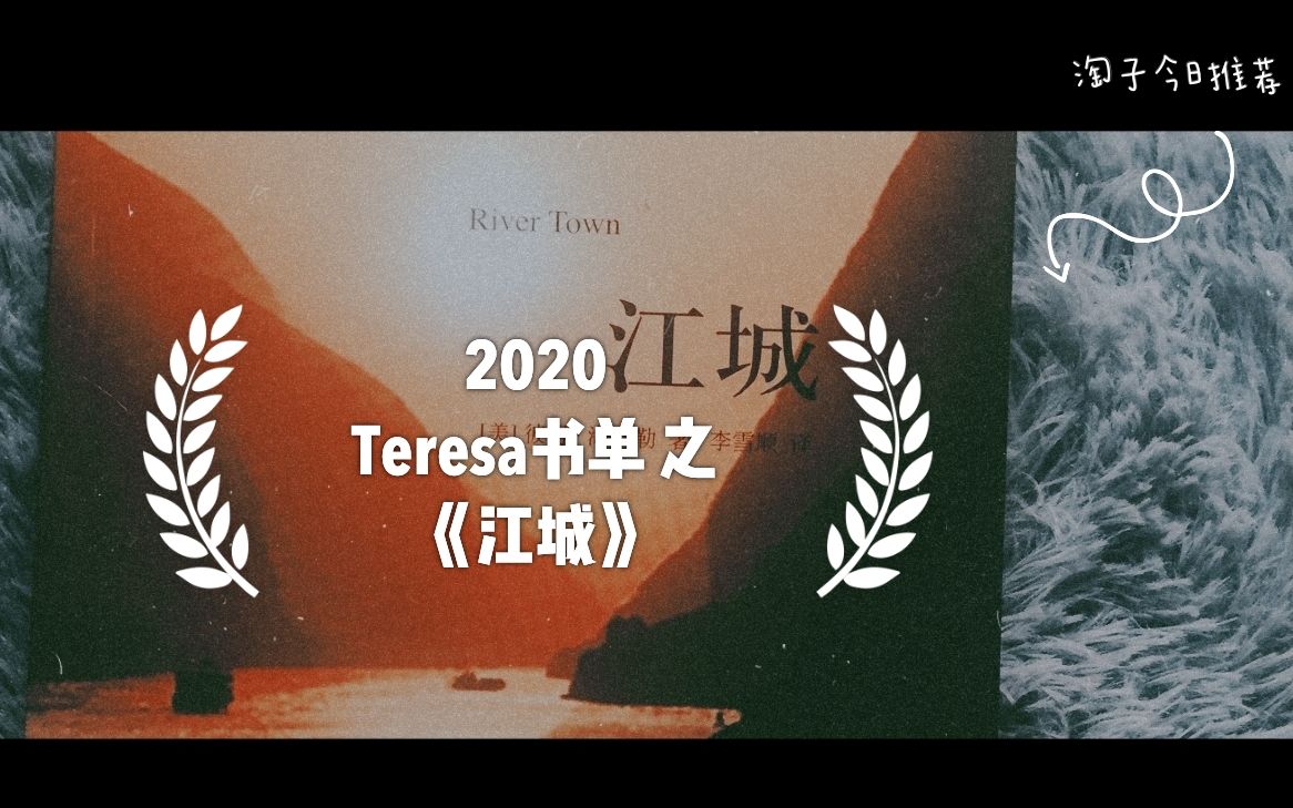 【淘子Teresa】译文纪实系列图书推荐 之《江城》| 每天一本好书 | 淘子说书频道 专业拯救书荒患者哔哩哔哩bilibili