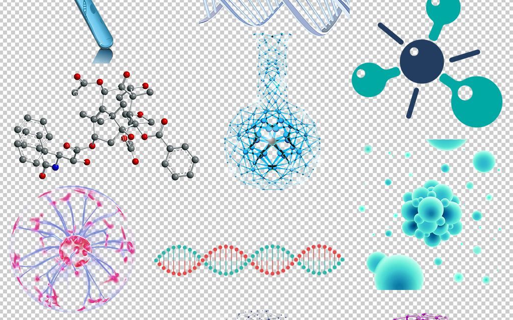 snapgene模拟标准限制性克隆