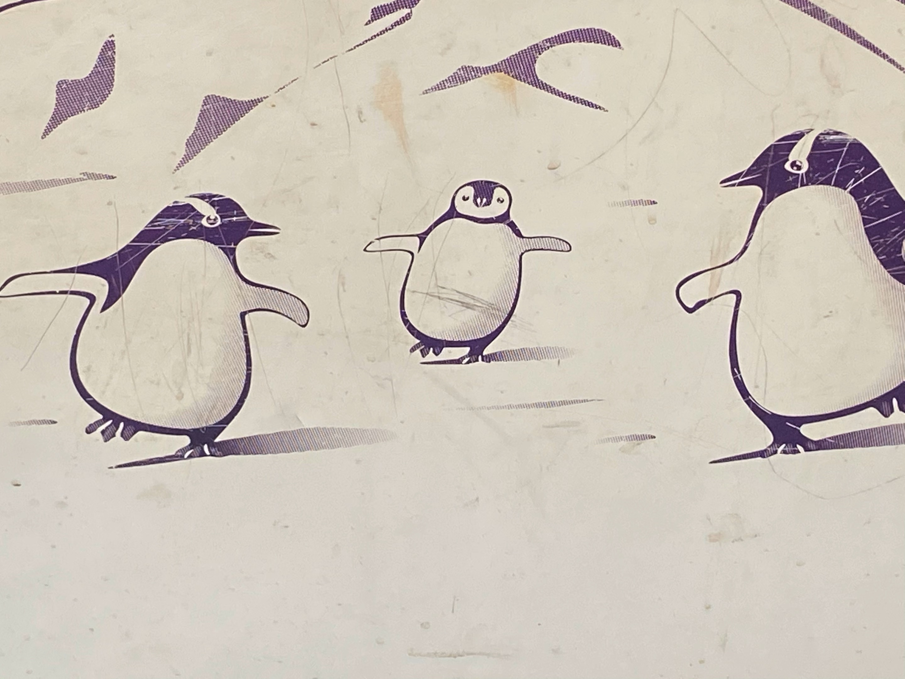 超可爱企鹅群~冰上嬉戏