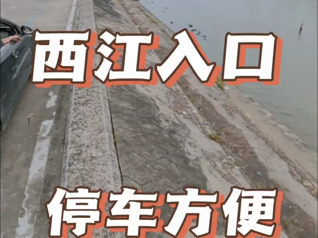 西江流域不走水野钓点,天然钓位,停车方便夏天就是要去钓大鱼哔哩哔哩bilibili