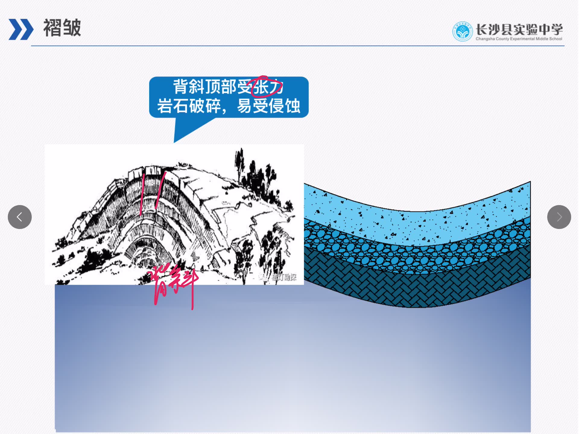 地质构造哔哩哔哩bilibili