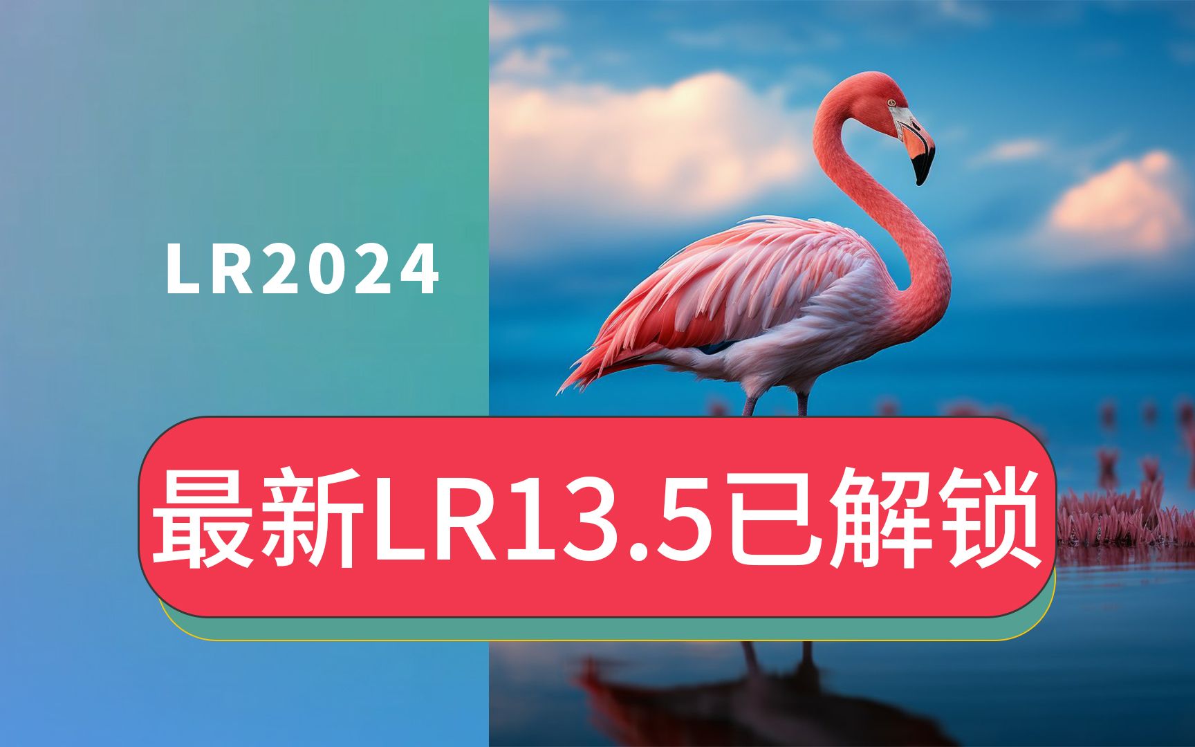 免费解锁LRC调色修图软件Lightroom Classic 13.5最新版LR2024安装包支持打开佳能富士尼康索尼新型相机RAW格式文件下载哔哩哔哩bilibili