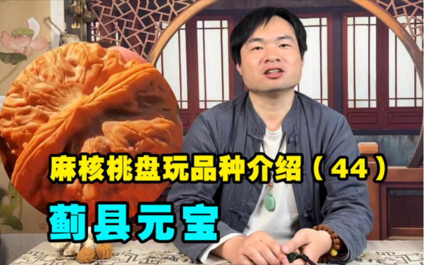 科普百种文玩核桃44蓟县元宝，经典小众品种，皮质骨质都不错_哔哩哔哩_