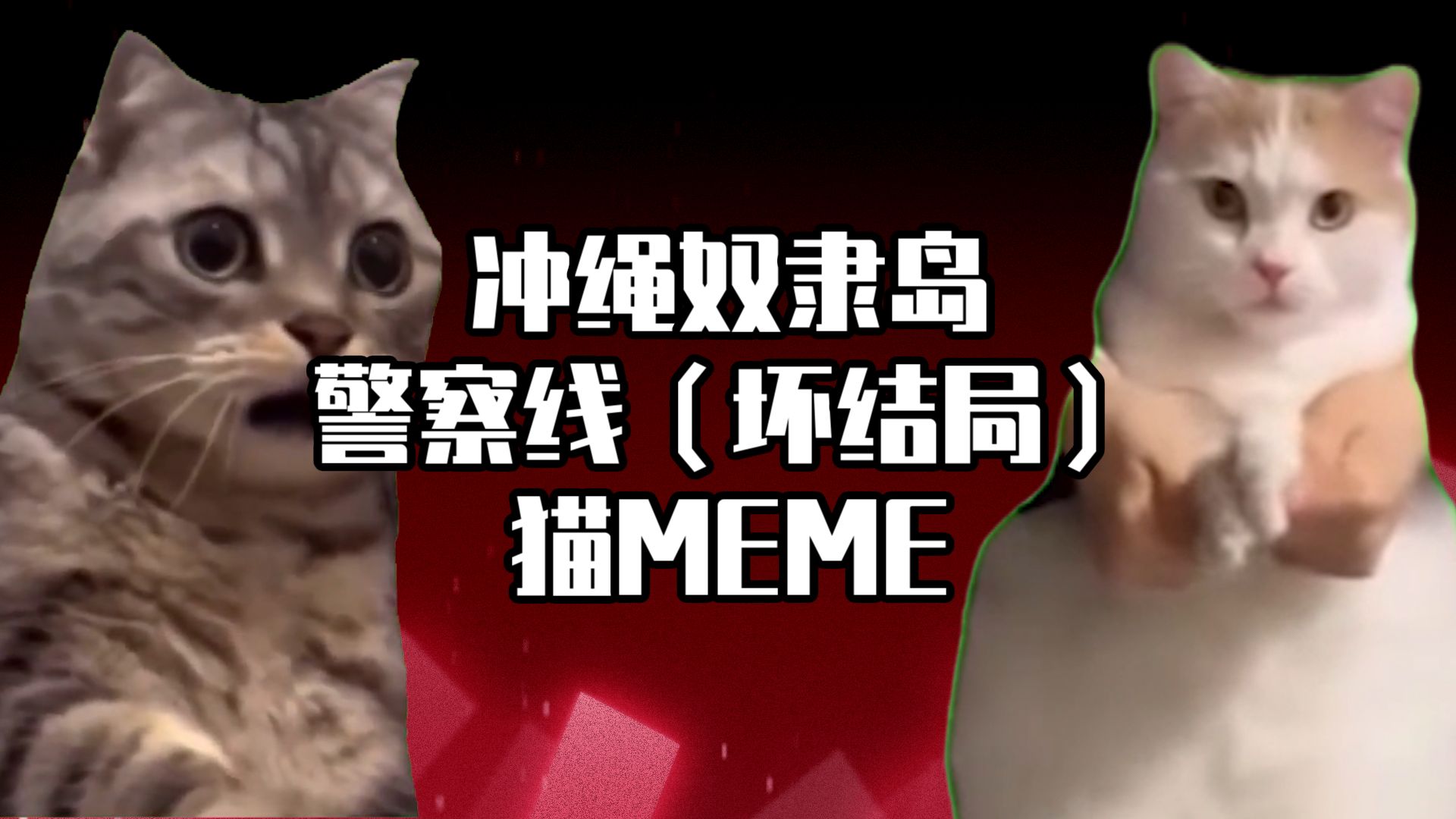 【猫meme】一分钟看完冲绳奴隶岛警察线(坏结局)哔哩哔哩bilibili