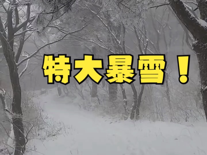 嵩山出现特大暴雪!气象站24小时积雪22厘米哔哩哔哩bilibili