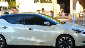 Télécharger la video: 日产蓝鸟街拍合集！这个车真的那么丑吗？