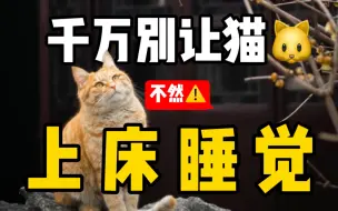 Télécharger la video: 猫咪上床危害巨大！千万别让它上床！