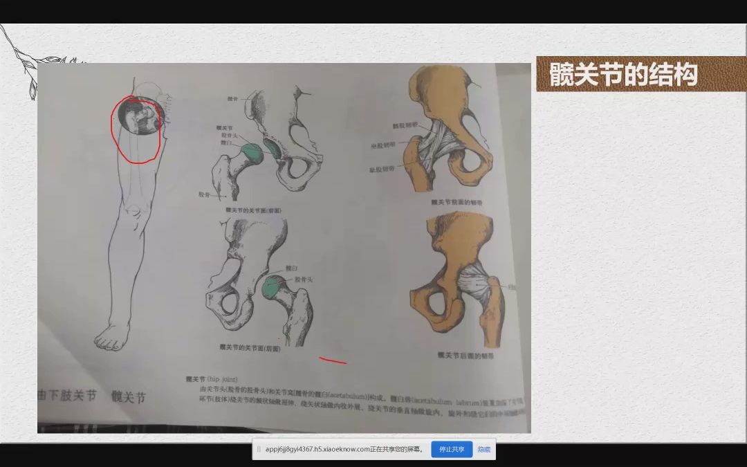 谭文杰正骨哔哩哔哩bilibili