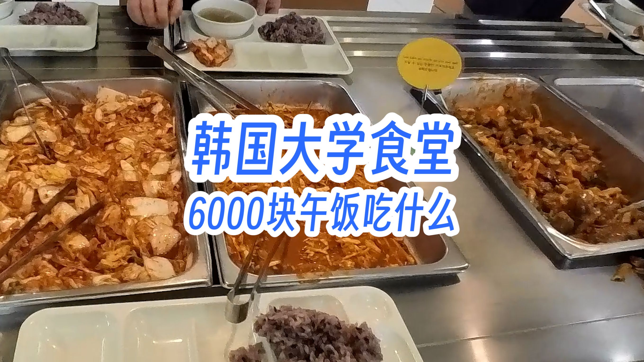韩国大学食堂6000块午饭吃什么