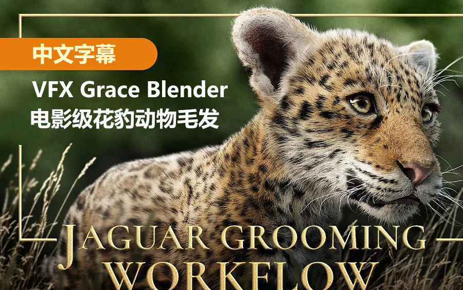 【中文字幕】vfx grace blender電影級花豹動物毛髮特效創建大師班