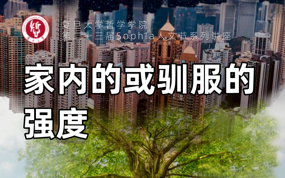 第二十三届Sophia人文节丨张寅:家内的或驯服的强度哔哩哔哩bilibili