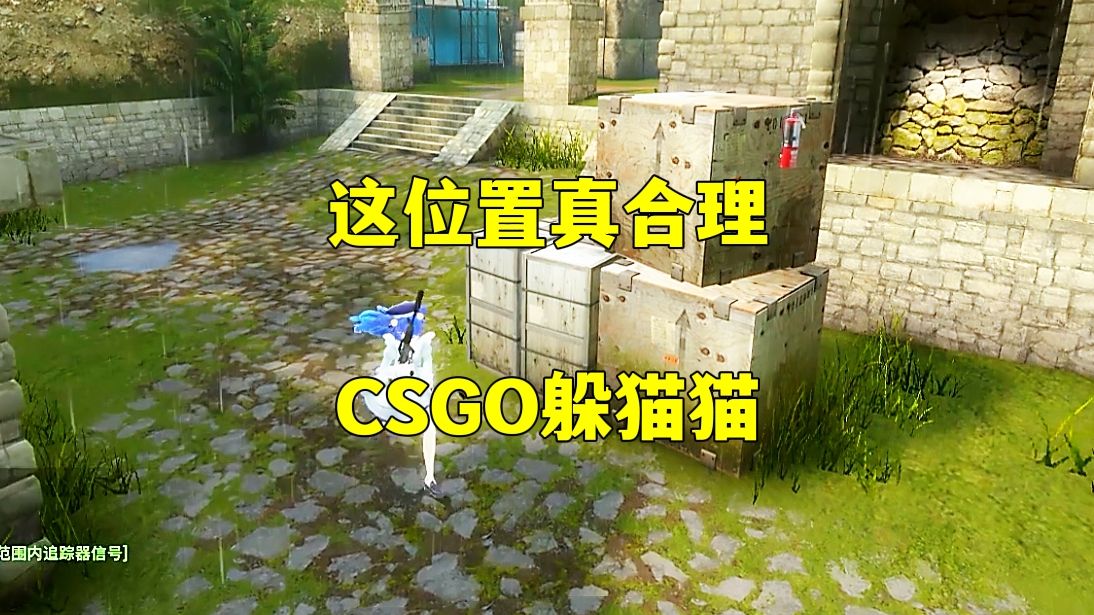 csgo躲猫猫,这位置真合理