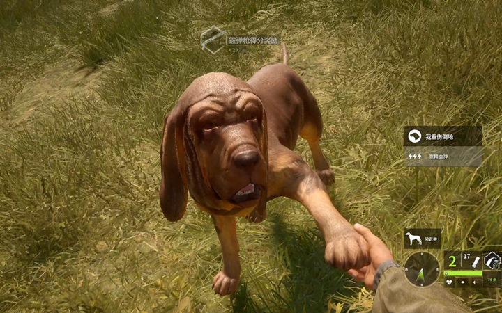 「猎人:荒野的召唤」新dlc寻血猎犬简单介绍_哔哩哔哩_bilibili