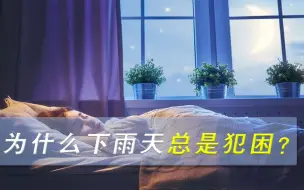 Download Video: 为什么人喜欢下雨天睡觉？科学家指明原因，原来不是因为懒惰