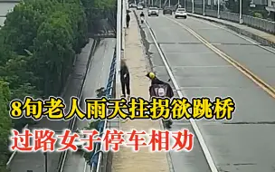 Download Video: 8旬老人欲跳桥过路女子停车相劝：她想跳够不着，就想钻栏杆下去