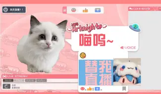 下载视频: 【血狼切片】葡萄霸占ve电脑喵叫！血狼被猫猫狂电⚡