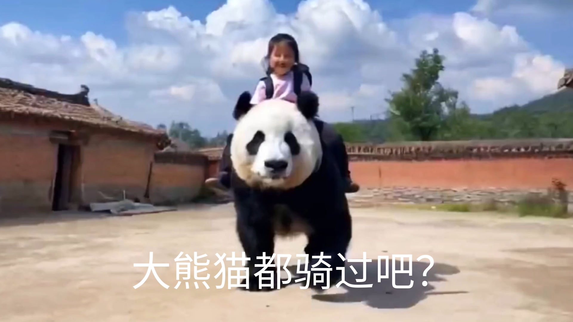 大熊猫都骑过吧?那要怎么偷走呢?《科普?我不会》