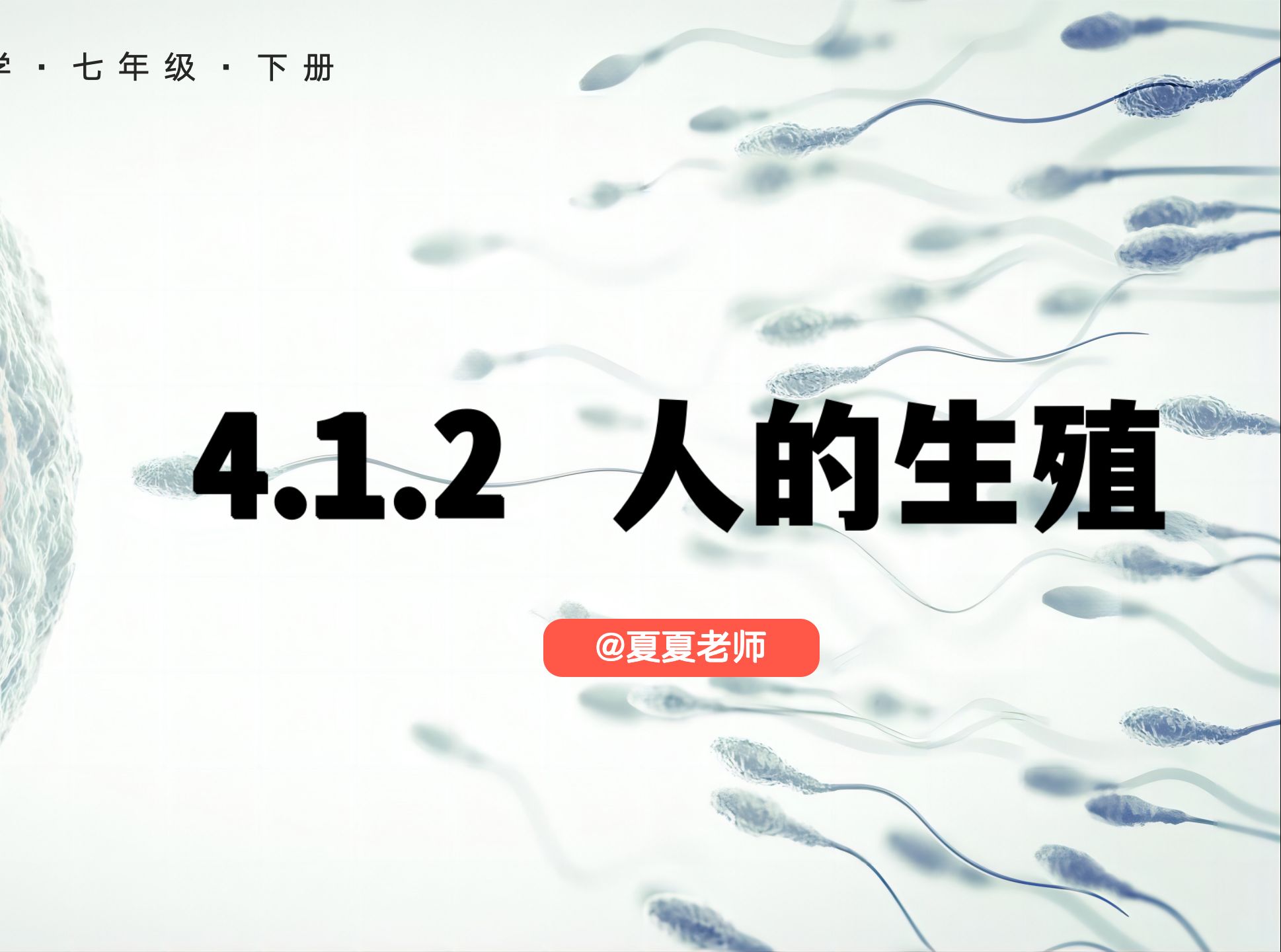 【初中生物】七年级下册生物 4.1.2 《人的生殖》哔哩哔哩bilibili