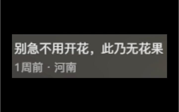 打开评论区 天塌了哔哩哔哩bilibili