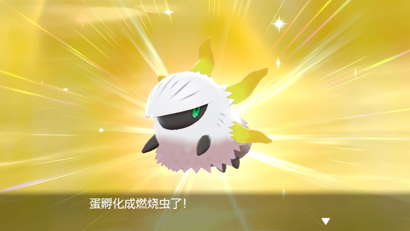剑盾萌新40小时蛋闪 表示我只想做一只6v孵蛋宠而已啊啊啊啊啊吓死