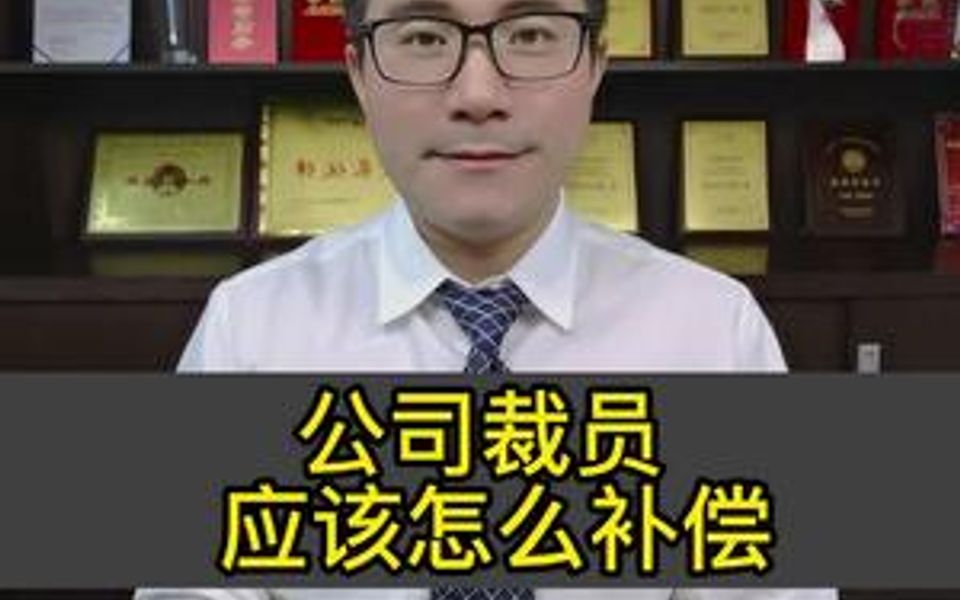 公司裁员应该怎么补偿哔哩哔哩bilibili