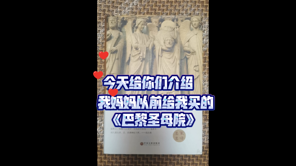 又来给你们介绍书籍啦!《巴黎圣母院》有谁看过吗?哔哩哔哩bilibili