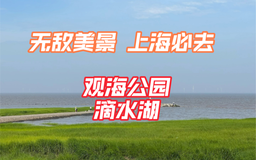 【在上海此生必去的地方】上海滴水湖和南汇嘴观海公园哔哩哔哩bilibili