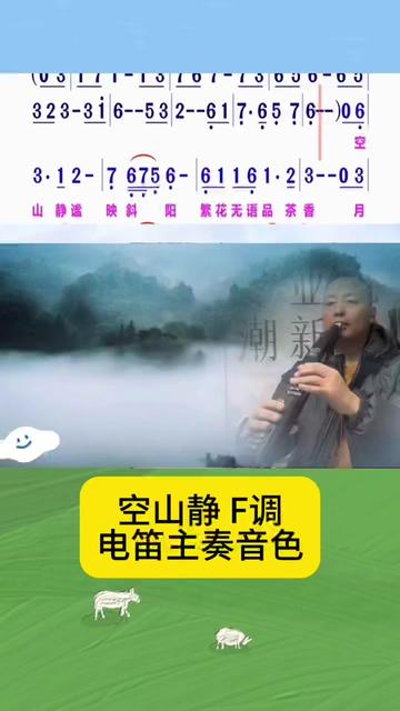 《空山静》圣锐电吹管电笛主奏音色f调动态谱演奏