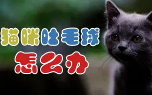 Download Video: 猫咪吐毛球怎么办