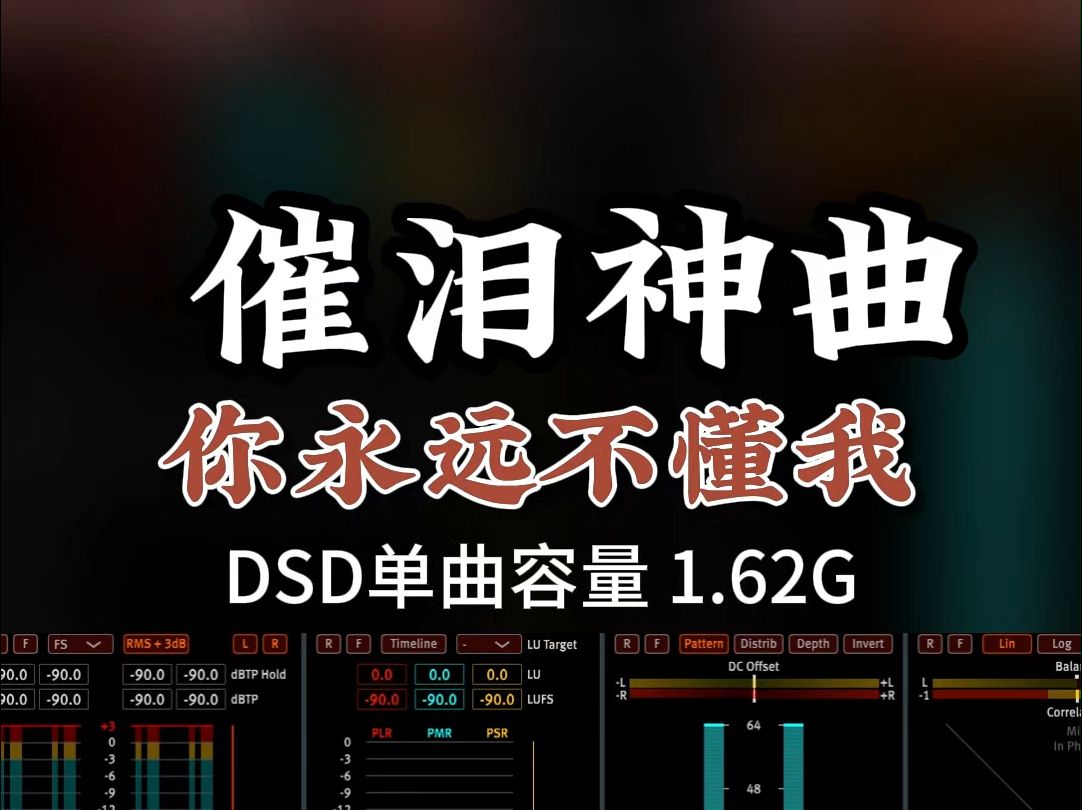 催泪神曲,伤感入心,原人原唱《你永远不懂我》DSD完整版1.62G,百万调音师专业录音棚制作,顶级hifi无损音质哔哩哔哩bilibili