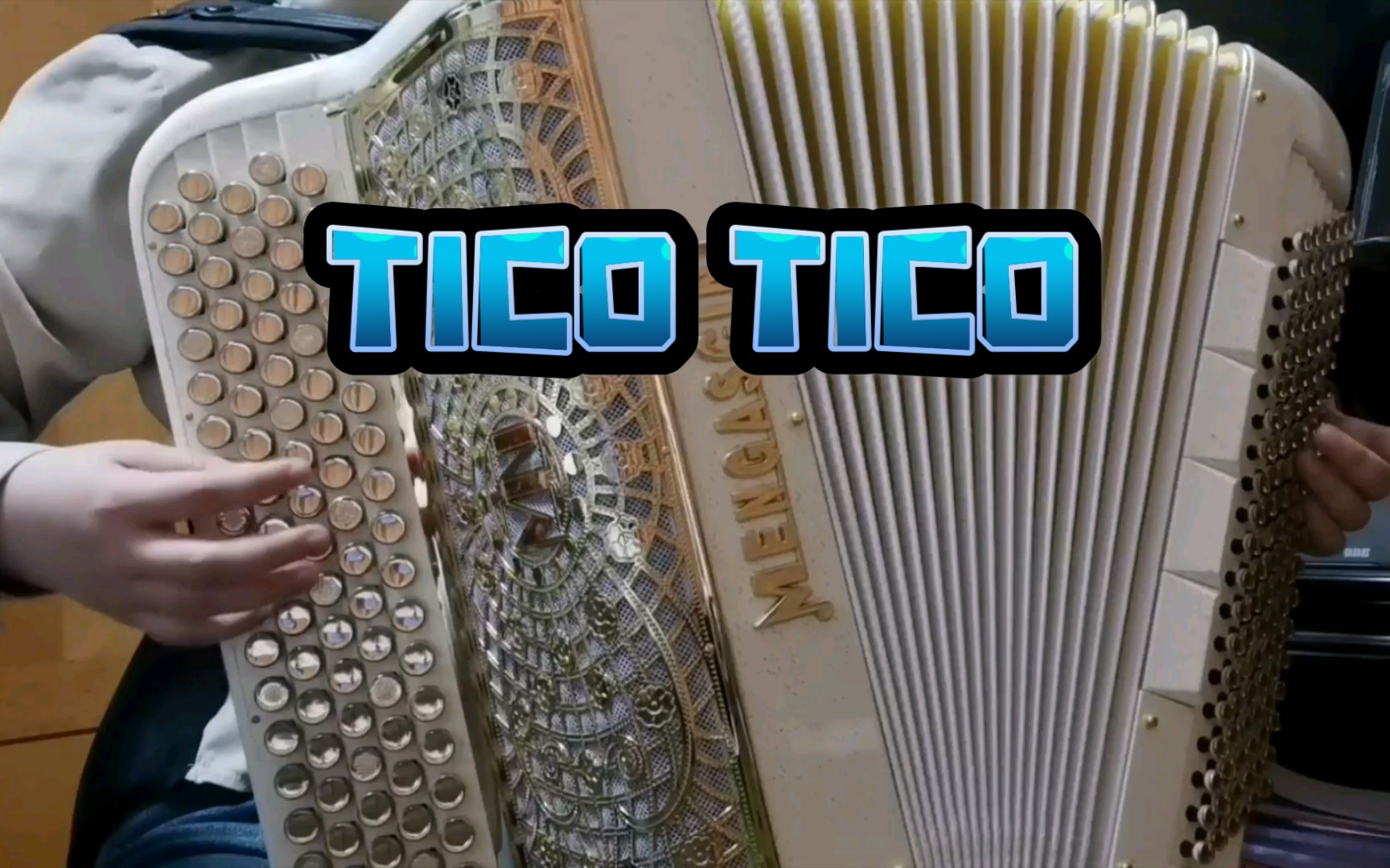 [图]【手风琴】Tico Tico No Fuba（加花版）雀鸟