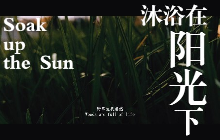 [图]【大学生微电影】《沐浴在阳光下 Soak Up the Sun》