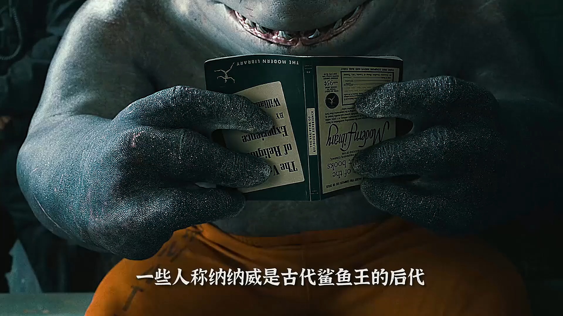 谁能拒绝一个如此可爱的鲨鱼王呢