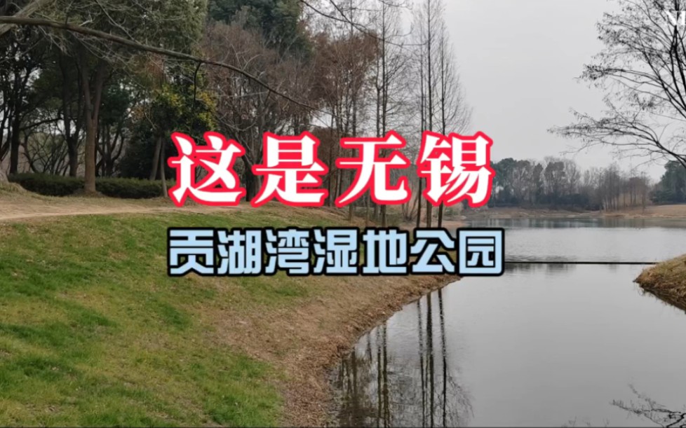 贡湖湾湿地公园介绍图片