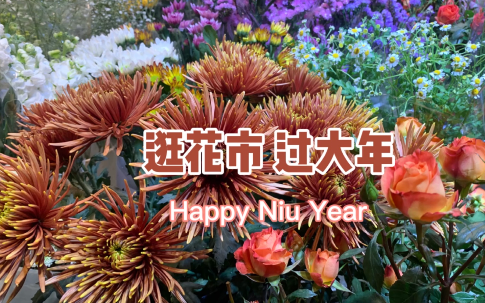 [图]春节vlog |北京过年逛花市，红红火火迎新春