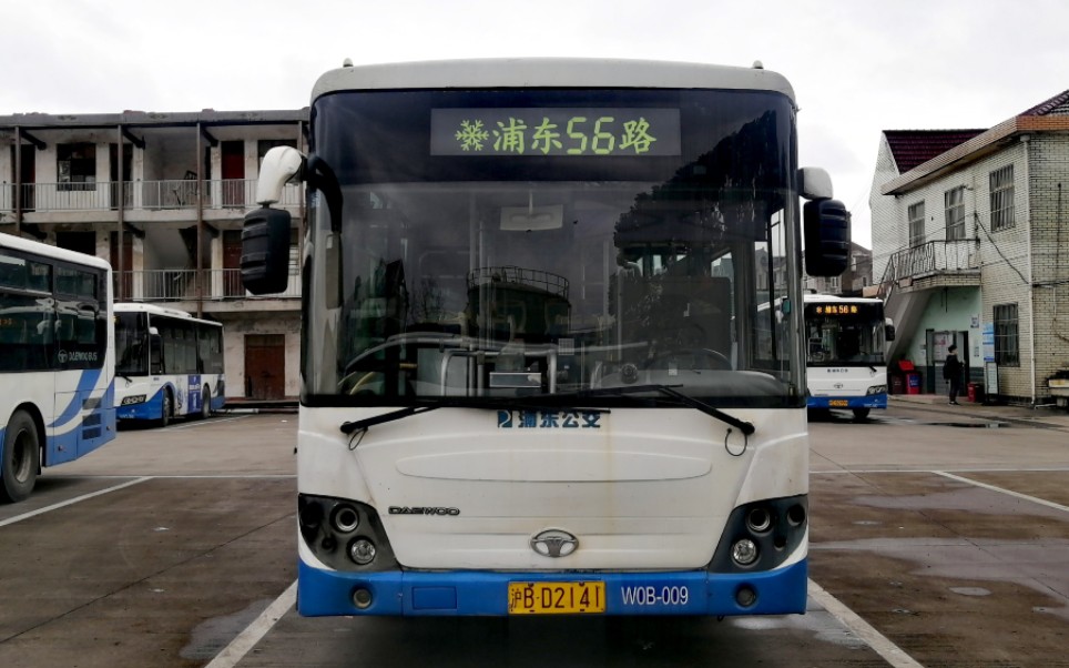 (浦东南汇)上海浦东56路(原川芦专线)公交车全程(杭湾路芦潮港→拱极